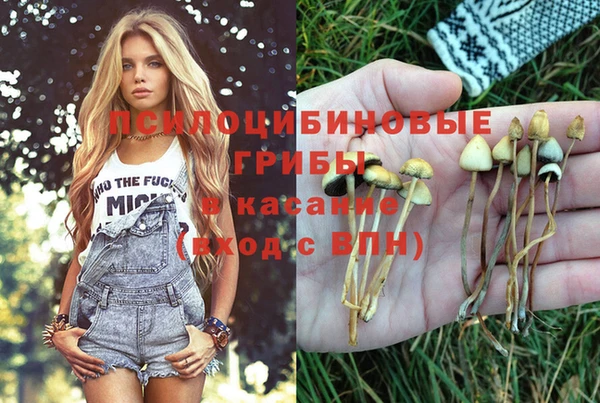 индика Наволоки