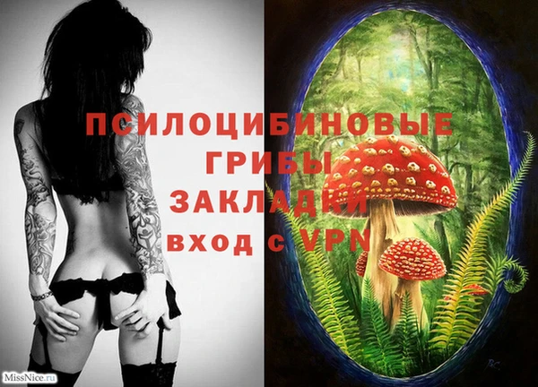 Альфа ПВП Надым
