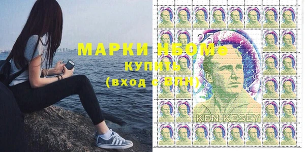 винт Тында