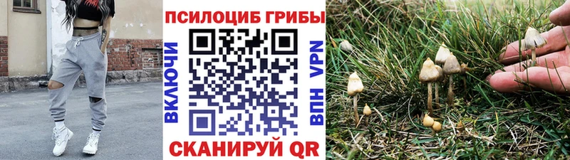 Галлюциногенные грибы мицелий  маркетплейс официальный сайт  Староминская 